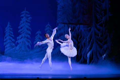 queensland ballet the nutcracker